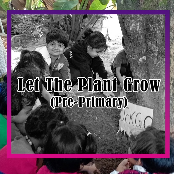 Let the Plant Grow.jpg